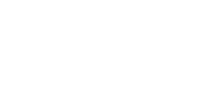 City2Go - Innenst&auml;dte erfolgreich online