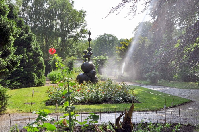 Rosengarten &middot; Sehenswürdigkeiten &middot; Pinneberg | Bild 1/1 | Rosengarten Pinneberg &middot; Foro: Stadt Pinneberg